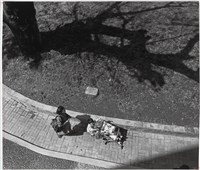 藏品(〈秋陽〉)的圖片