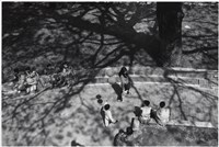 藏品(〈秋影〉)的圖片