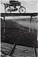 藏品(〈勇哉台灣人〉)的圖片