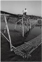 藏品(〈勇哉台灣人〉)的圖片