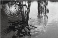 藏品(〈鱔魚籠〉)的圖片