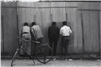 藏品(〈光看客〉)的圖片