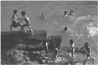 藏品(劉安明作品231)的圖片