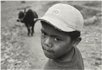 藏品(〈牧童〉)的圖片