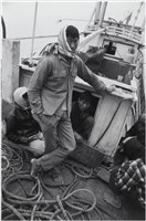 藏品(〈漁郎〉)的圖片