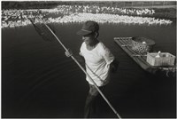 藏品(劉安明作品242)的圖片