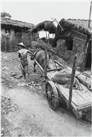 藏品(〈高山下移系列〉)的圖片