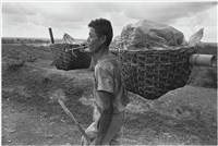 藏品(〈高山下移系列〉)的圖片