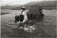 藏品(劉安明作品248)的圖片