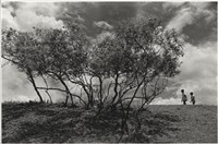 藏品(劉安明作品249)的圖片