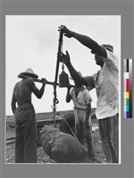 藏品(劉安明作品256)的圖片