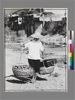 藏品(〈黎明即起，摘瓜歸〉)的圖片