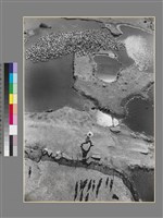 藏品(劉安明作品266)的圖片