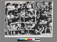 藏品(劉安明作品278)的圖片