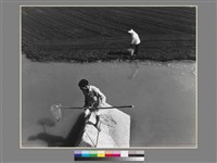 藏品(劉安明作品282:〈農閒時〉)的圖片