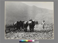 藏品(劉安明作品286)的圖片