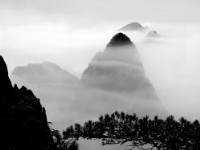 藏品(〈黃山意境〉)的圖片