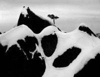 藏品(〈黃山意境〉)的圖片