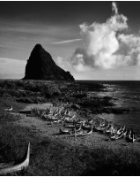 藏品(〈蘭嶼〉)的圖片