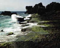 藏品(〈墾丁〉)的圖片