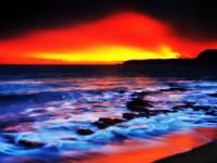 藏品(〈老梅〉)的圖片