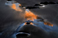 藏品(〈老梅〉)的圖片