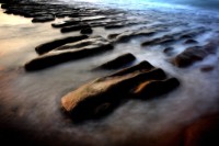 藏品(〈老梅〉)的圖片