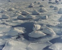 藏品(天鵝之歌系列30)的圖片