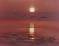 藏品(天鵝之歌系列40)的圖片