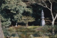 藏品(京都系列3)的圖片