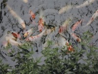 藏品(京都系列7)的圖片