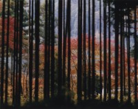 藏品(京都系列21)的圖片