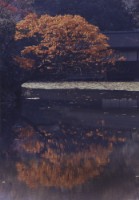 藏品(京都系列29)的圖片