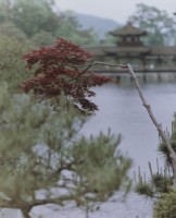 藏品(京都系列31)的圖片