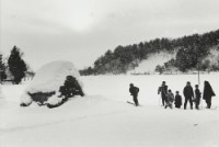 藏品(雪國系列2)的圖片