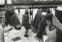 藏品(雪國系列3)的圖片