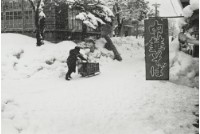 藏品(雪國系列6)的圖片