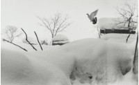 藏品(雪國系列9)的圖片