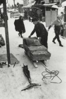 藏品(雪國系列14)的圖片