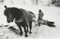 藏品(雪國系列17)的圖片