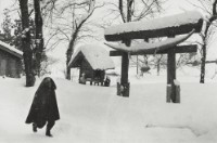 藏品(雪國系列18)的圖片