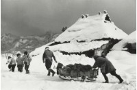 藏品(雪國系列19)的圖片