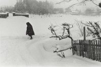 藏品(雪國系列21)的圖片