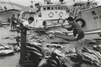 藏品(六零年代築地市場系列6)的圖片