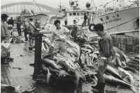 藏品(六零年代築地市場系列8)的圖片