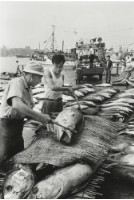 藏品(六零年代築地市場系列9)的圖片