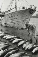 藏品(六零年代築地市場系列10)的圖片