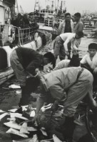 藏品(六零年代築地市場系列11)的圖片