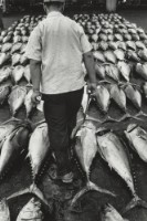 藏品(六零年代築地市場系列13)的圖片