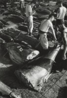 藏品(六零年代築地市場系列15)的圖片